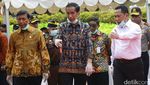 Jokowi Musnahkan Barang Bukti Narkoba