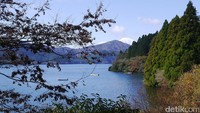 Sekitar 96 km dari Tokyo, traveler bisa menemukan Danau Ashi atau Ashinoko di Hakone, Prefektur Kanagawa. Ini merupakan danau kawah yang terbentuk akibat letusan Gunung Hakone sekitar 3.000 tahun lalu (Kurnia/detikTravel)