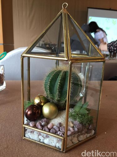 Tren Dekorasi Terarium, Begini Cara Membuatnya