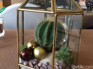 Membuat Terarium Ternyata Mudah, Begini Caranya