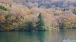 Danau Ashi & Naga Berkepala 9 di Jepang