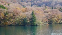 Seorang biksu kemudian datang menolong warga. Ia membuat perjanjian dengan naga untuk menjadikannya dewa danau di Ashinoko. Naga pun menuruti kemauan sang biksu untuk tidak lagi muncul dan mengganggu penduduk (Kurnia/detikTravel)
