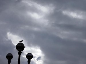 Pesawat Bawa 49 Penumpang Jatuh di Rusia, Diduga Tak Ada yang Selamat