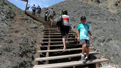 Tangga Kayu yang Mudahkan Traveler ke Puncak Pulau Padar