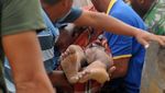 Evakuasi Korban Gempa Aceh Terus Dilanjutkan