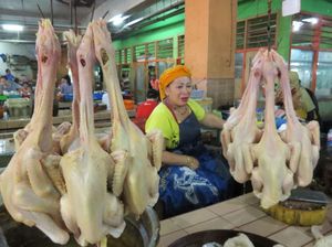 Jelang Natal dan Tahun Baru Harga Daging Ayam Kembali Melonjak