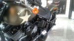 Harley-Davidson Kembali Goda Pecinta Moge Indonesia