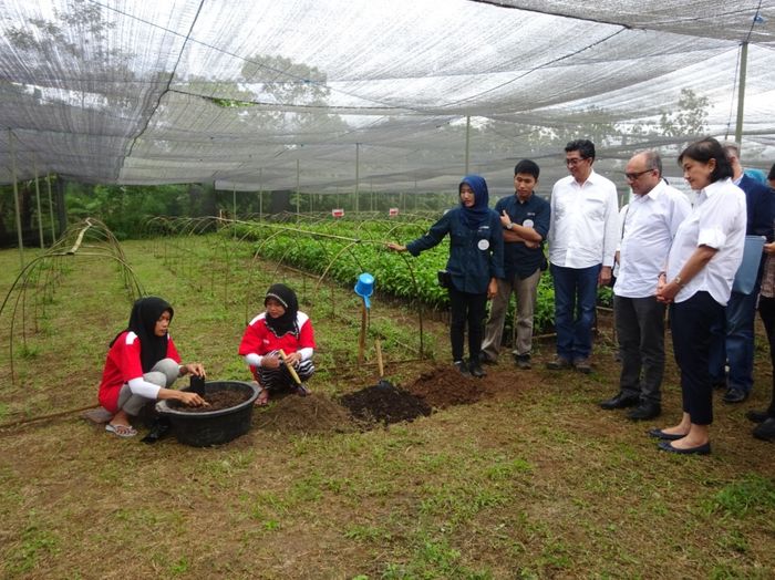 Good Agricultural Practices: Kunci Nestlé Dukung Bisnis 