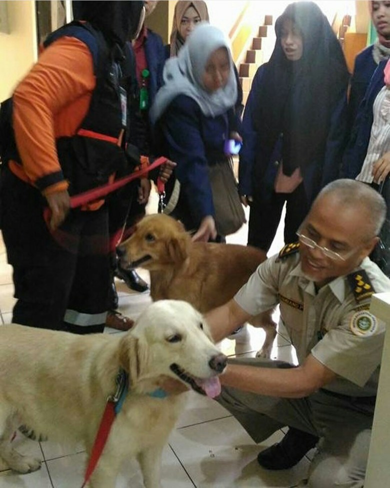 Dua Anjing SAR Alfa dan Delta Diterjunkan ke Aceh Cari Korban Gempa Dua Anjing SAR Alfa dan Delta Diterjunkan ke Aceh Cari Korban Gempa