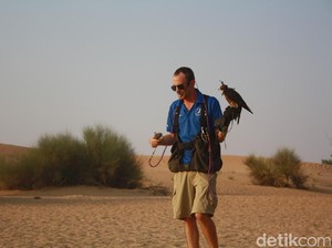 Lihatlah Pertunjukan Elang Berburu di Dubai