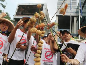 Kentang Impor Pakistan dan China Pernah Merajalela di Tahun 2012