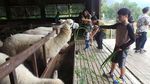 Menikmati Keindahan Italia, Tapi di Thailand