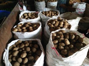 Dianggap Barang Selundupan, Dari Mana Pedagang Mendapatkan Kentang Impor?