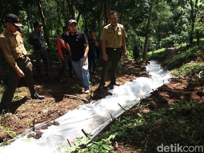 Retakan Tanah di Jember Sepanjang 200 Meter Rawan Longsor
