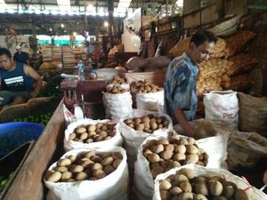 Kementan Bantah Harga Kentang Jatuh Karena Serbuan Impor