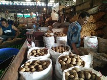 Tahun Ini RI Impor Kentang 36.000 Ton, dari Australia Hingga Jerman