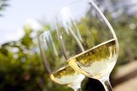 Minum <i>White Wine</i> Tingkatkan Risiko Terkena Kanker Kulit?