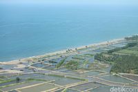 Berbatasan dengan Laut, Ini Kontur Pidie Jaya yang Terdampak Gempa Aceh