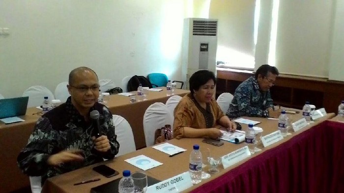 Data Pelanggan Listrik Layak Subsidi Kurang Akurat, Ini Penjelasan TNP2K