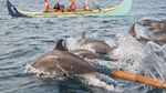 Keindahan Wisata Lampung dalam Jepretan Kamera