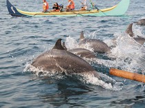 11 Pantai Lampung untuk Watersport hingga Lihat Lumba-lumba