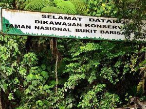 Asal-usul Taman Nasional Bukit Barisan Selatan dan Keunikannya