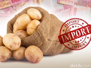 Kemendag Cabut Izin 31 lmportir Sayur dan Buah