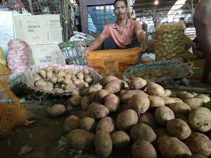 Kentang Impor Jenis Atlantis Dipakai Industri, Kenapa Tak Ditanam di RI?