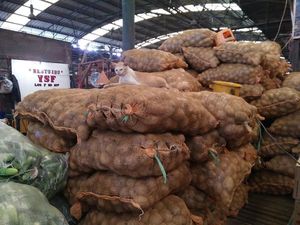 Harganya Miring, Kentang Impor Laris Manis Diburu Pedagang Siomay