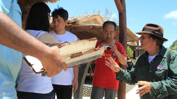 Keluarga korban MH370 menyisir langsung pantai Afrika, didampingi penyidik amatir Amerika Blaine Gibson