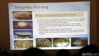 Para siswa mendapat penjelasan soal manfaatkan terumbu karang.