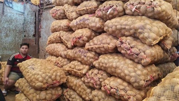 Aneh Di Pasar Harga Kentang Dieng Rp 13 000 Kg Yang Impor Hanya Rp 7 000 Kg