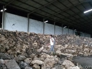 SK Bupati Mandul, Pabrik Karet Penyebar Bau Busuk Tetap Operasi