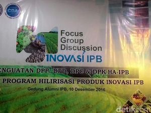 Padi Buatan IPB Ini Produktif, Hemat Air, dan Tahan Banting
