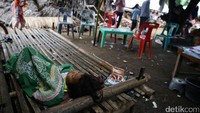 Seorang anak tidur di tenda darurat.