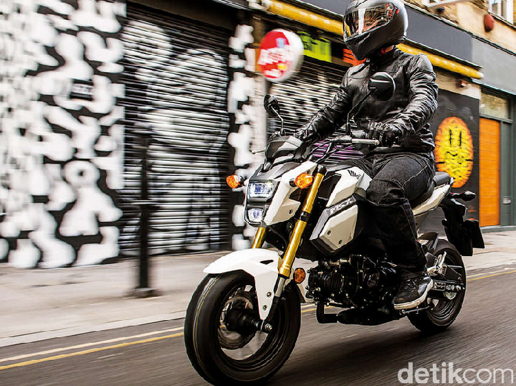 Motor Mini Honda MSX 125