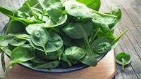 Sayuran ini kaya akan zat besi, asam folat dan vitamin K. Kaya akan betakaroten dan vitamin c yang berkhasiat menjaga kesehatan mata. Bayam enak ditumis atau dibuat sup dan campuran pecel atau gado-gado. Foto: iStock