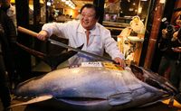Tahun 2048 Diprediksi Sushi Tak Bisa Lagi Dinikmati di Dunia