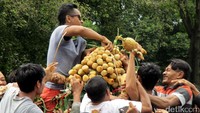 Warga berebut gunungan berisi hasil bumi seperti sayur-sayuran dan buah-buahan.
