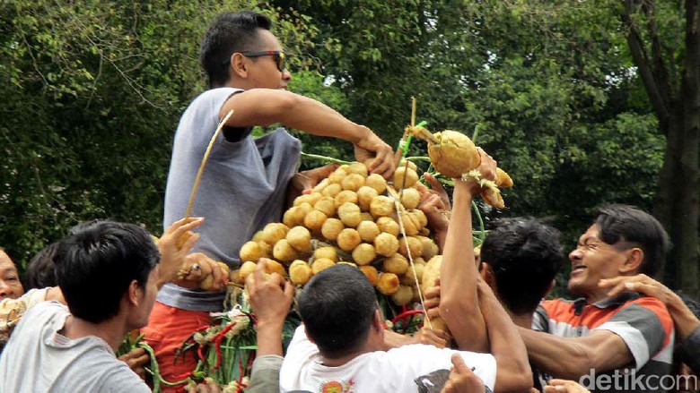 Rayahan Gunungan Maulud Keraton Yogyakarta