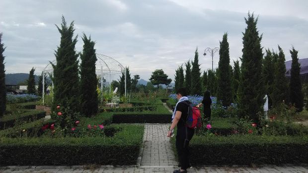 Taman bunga The Bloom