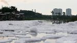 Wajah Waduk Pluit Dulu dan Sekarang