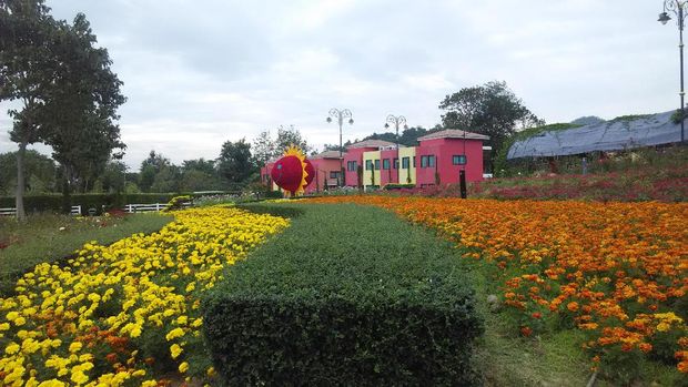 Cantiknya pemandangan di sana