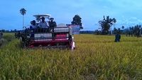 Mentan Amran Ajak Eks Teroris di Poso Bertani Agar Sejahtera