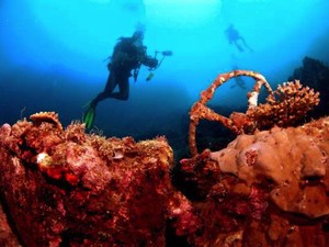 Indonesia Raih The Outstanding Liveabroad Diving Destination