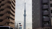 Setelah puas melihat keindahan Tokyo dari Tokyo Tower, traveler bisa sekalian singgah ke Tokyo Skytree yang tak kalah menawan. Dua tempat ini memang sangat terkenal sebagai tempat wisata sekaligus spot untuk melihat Tokyo dari ketinggian (Elvan/detikTravel)