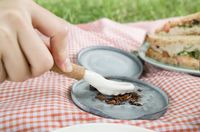 Diprediksi Bakal Jadi Makanan Masa Depan, Perusahaan Ini Desain Alat untuk Makan Serangga