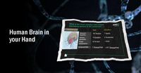 Otak Manusia dalam Hitungan Komputer ala AMD