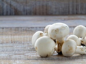 6 Cara Sederhana Membedakan Jamur Liar Beracun dan Tidak