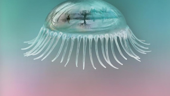 Until the Hunter Hope Sandoval & the Warm Inventions: Kembalinya Duet Maut Dream Pop